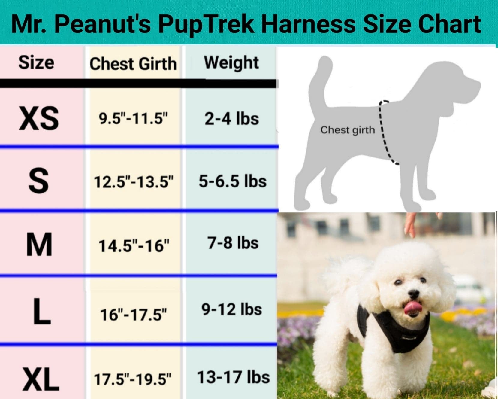 Mr. Peanut's PupTrek Soft Mesh Pet Harness with Matching Leash – Adjustable, Breathable, Choke - Free - Dog Time Outlet