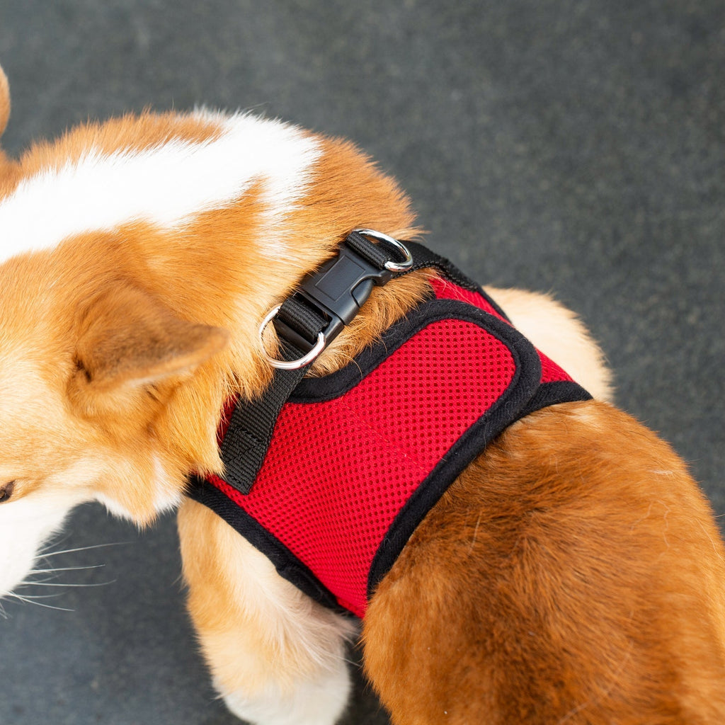 Mr. Peanut's PupTrek Soft Mesh Pet Harness with Matching Leash – Adjustable, Breathable, Choke - Free - Dog Time Outlet