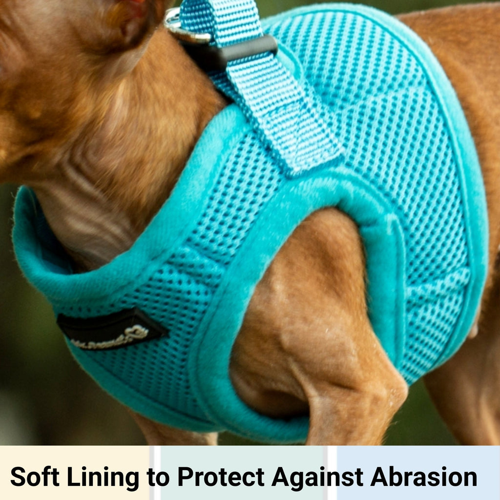 Mr. Peanut's PupTrek Soft Mesh Pet Harness with Matching Leash – Adjustable, Breathable, Choke - Free - Dog Time Outlet