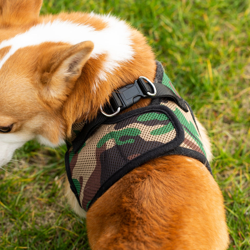 Mr. Peanut's PupTrek Soft Mesh Pet Harness with Matching Leash – Adjustable, Breathable, Choke - Free - Dog Time Outlet