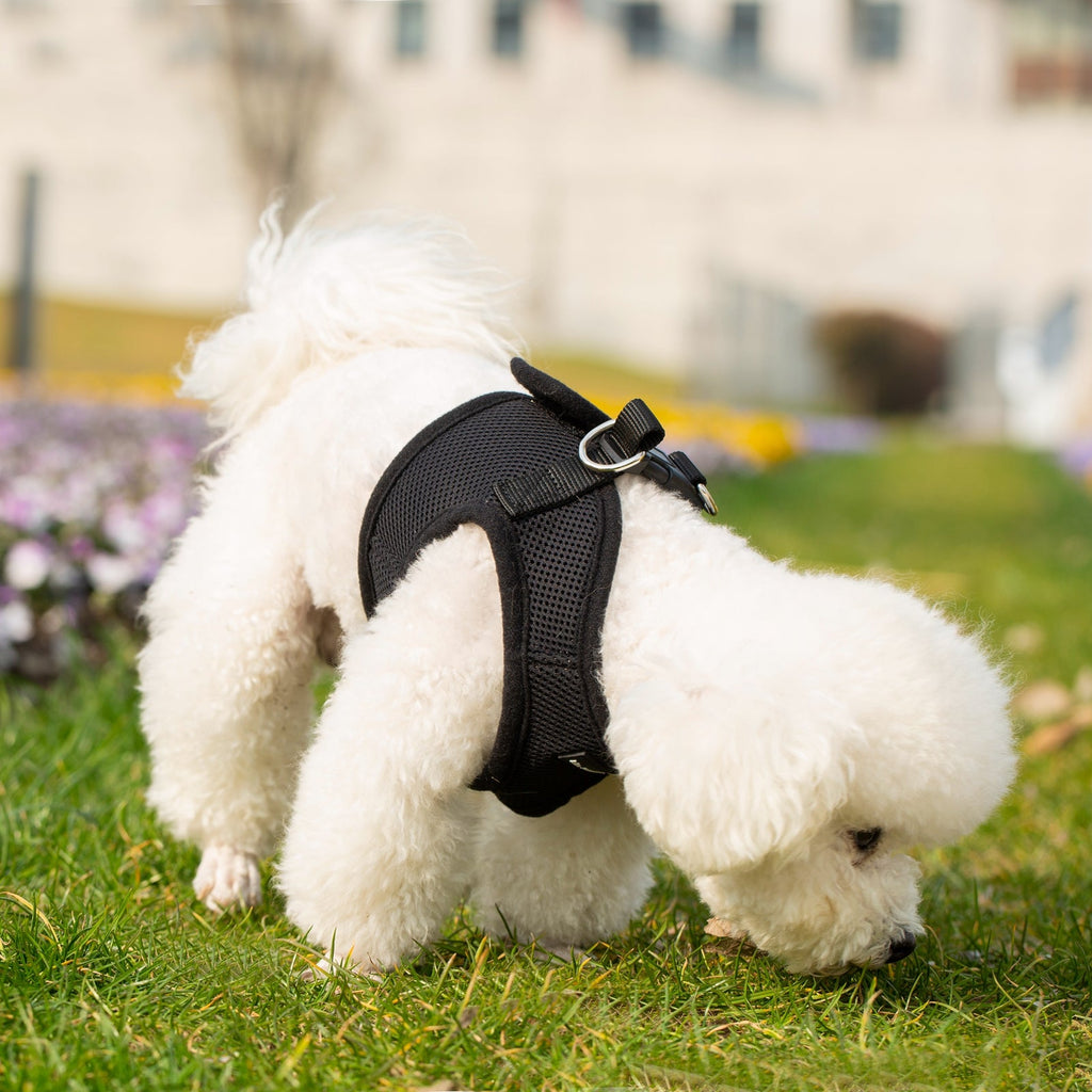 Mr. Peanut's PupTrek Soft Mesh Pet Harness with Matching Leash – Adjustable, Breathable, Choke - Free - Dog Time Outlet