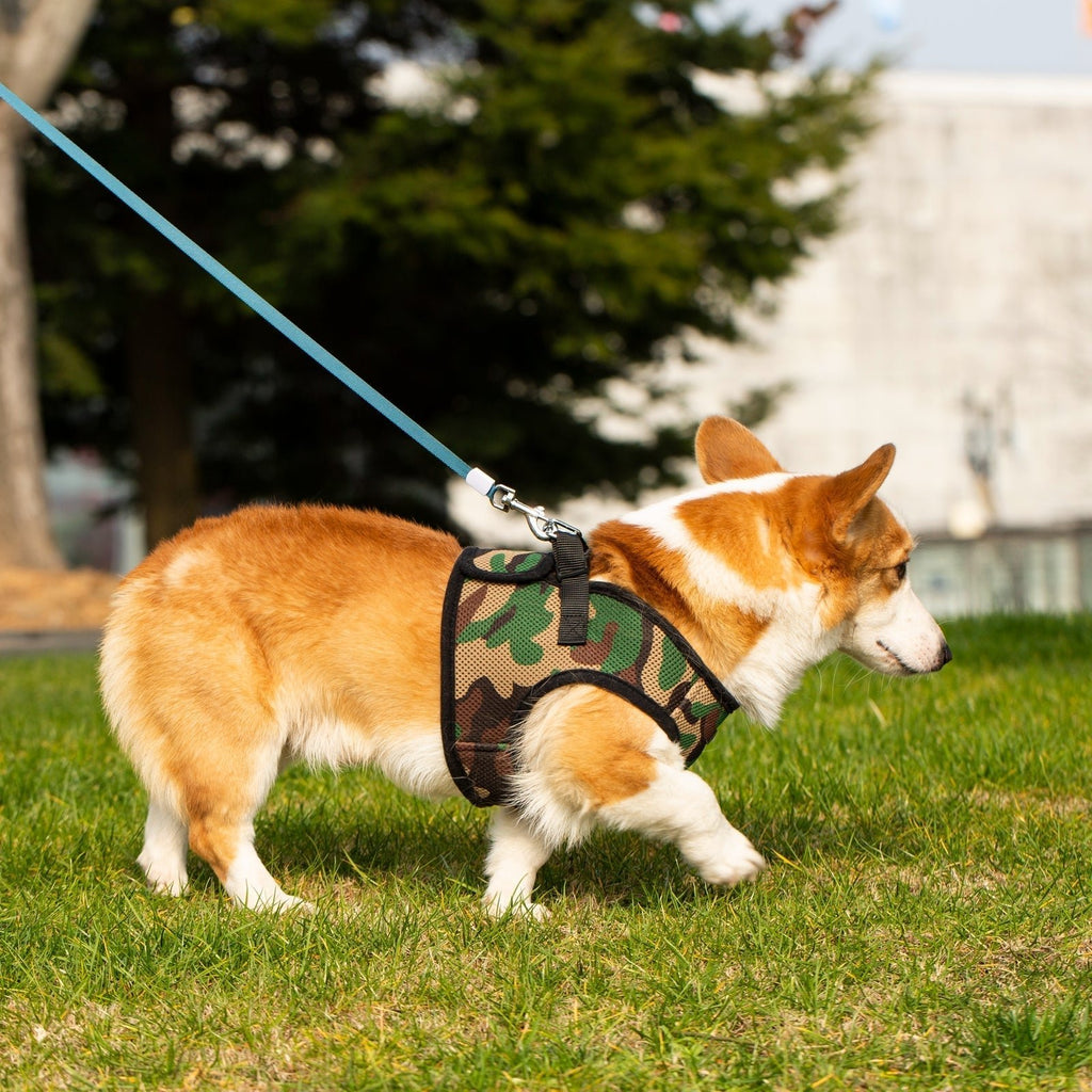 Mr. Peanut's PupTrek Soft Mesh Pet Harness with Matching Leash – Adjustable, Breathable, Choke - Free - Dog Time Outlet