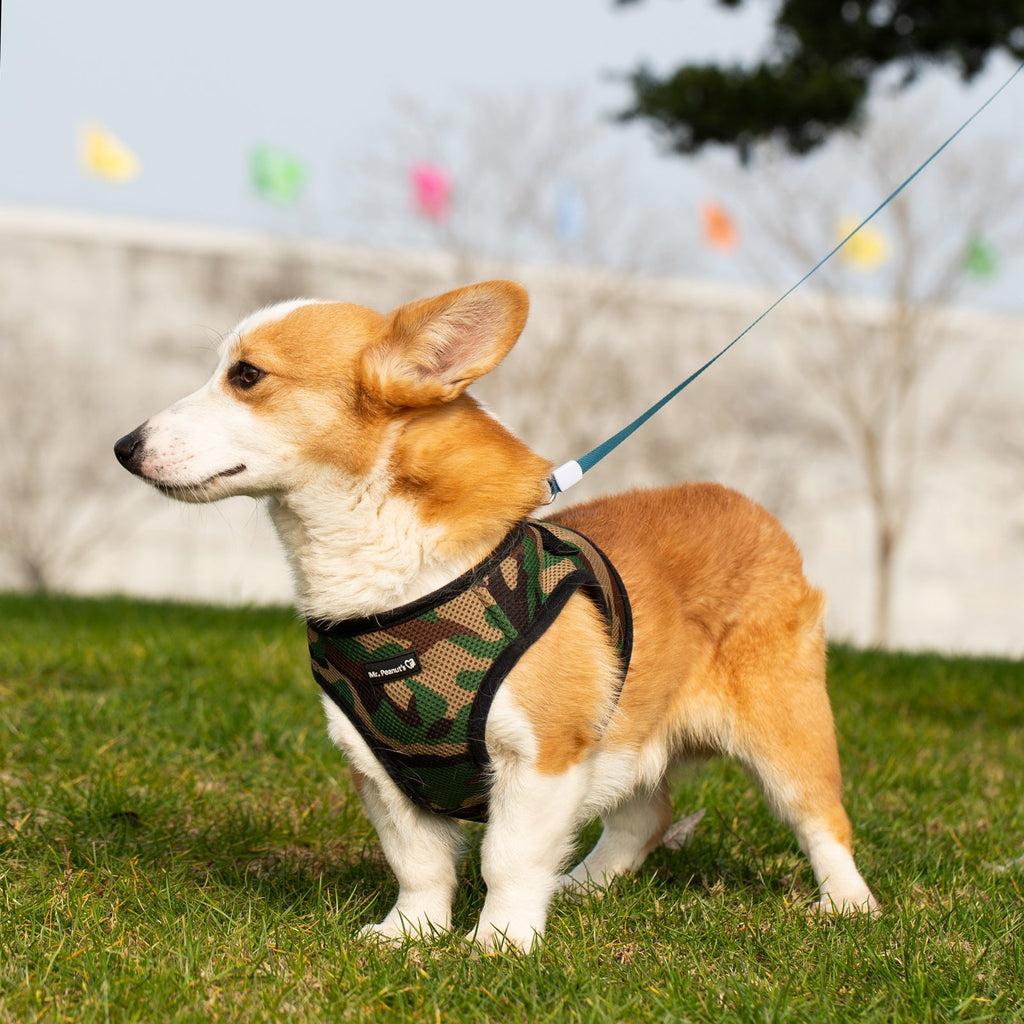 Mr. Peanut's PupTrek Soft Mesh Pet Harness with Matching Leash – Adjustable, Breathable, Choke - Free - Dog Time Outlet