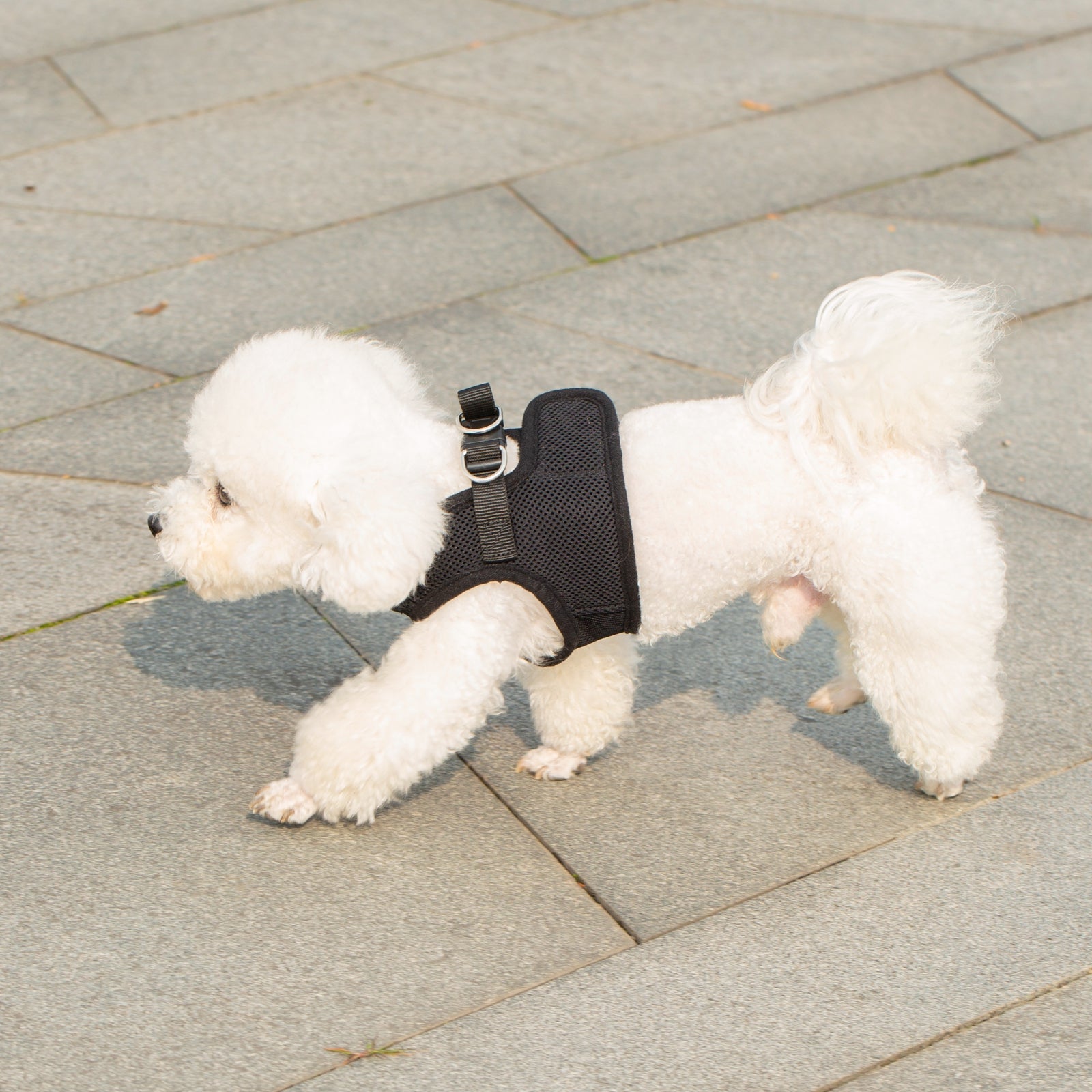 Mr. Peanut's PupTrek Soft Mesh Pet Harness with Matching Leash – Adjustable, Breathable, Choke - Free - Dog Time Outlet