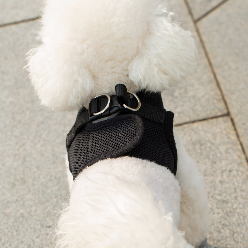 Mr. Peanut's PupTrek Soft Mesh Pet Harness with Matching Leash – Adjustable, Breathable, Choke - Free - Dog Time Outlet