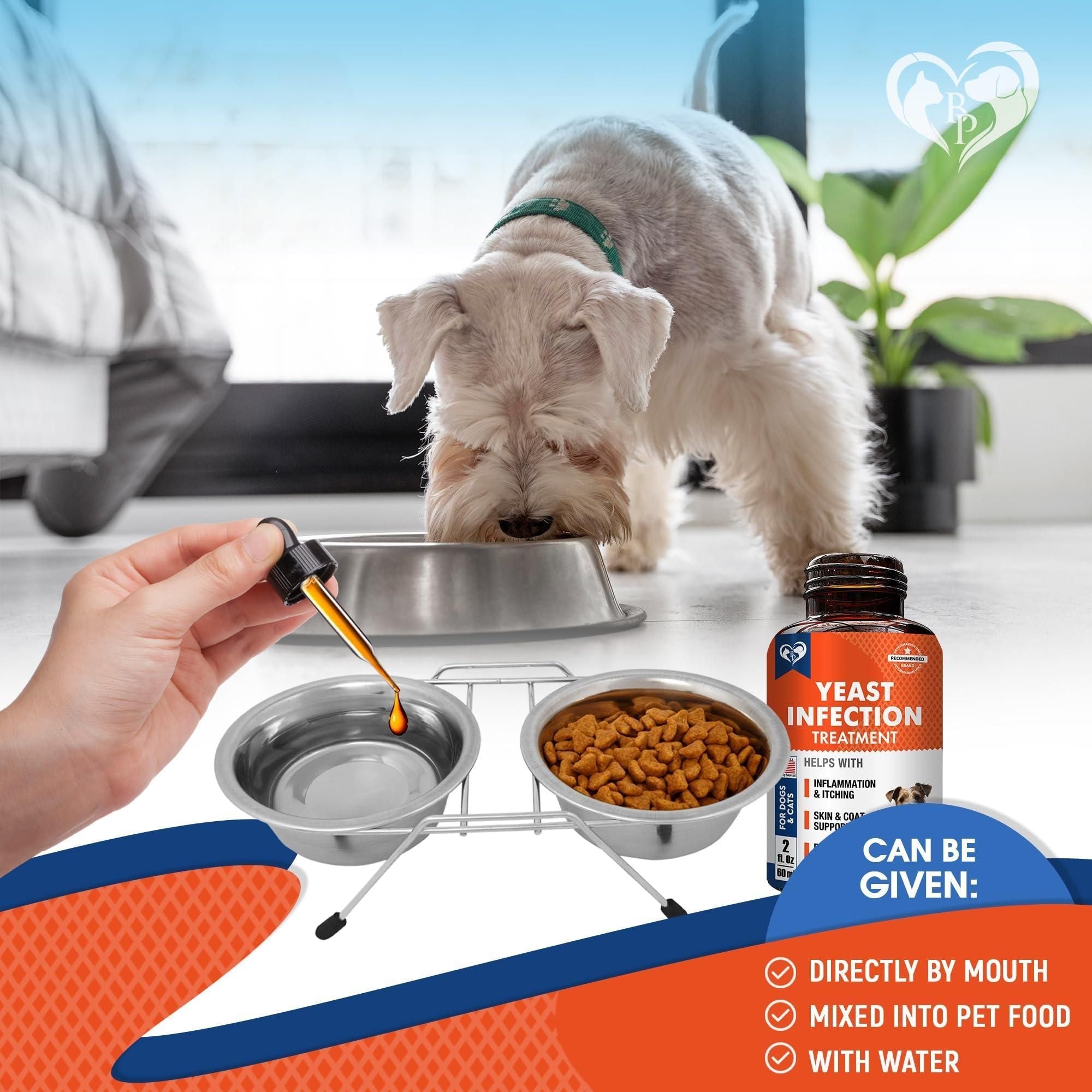 Natural Dog Yeast Infection Anti Itch Treatment Itchy Ears Skin & Allergy Symptoms Relief Reduces Inflammation & Relieves Irritation Herbal Medicine Supplement Drops Made in USA - Dog Time Outlet