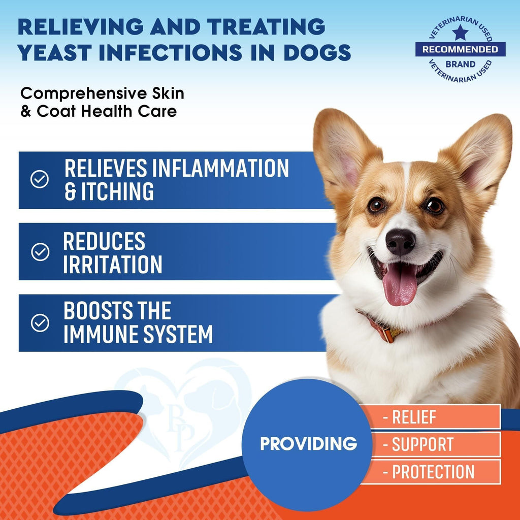 Natural Dog Yeast Infection Anti Itch Treatment Itchy Ears Skin & Allergy Symptoms Relief Reduces Inflammation & Relieves Irritation Herbal Medicine Supplement Drops Made in USA - Dog Time Outlet