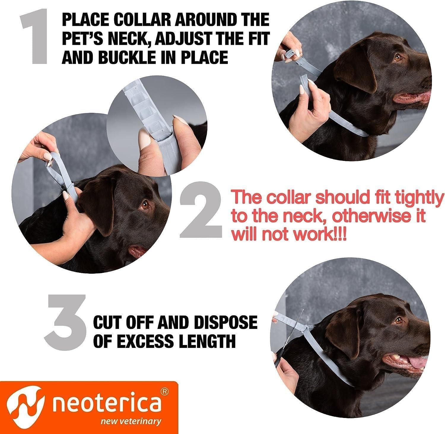 Natural Flea Tick Collar for Dogs 6 Months Control of Best Prevention Safe Treatment Anti Fleas and Ticks Essential Oil Repellent 1 Pack 2 Count - Dog Time Outlet