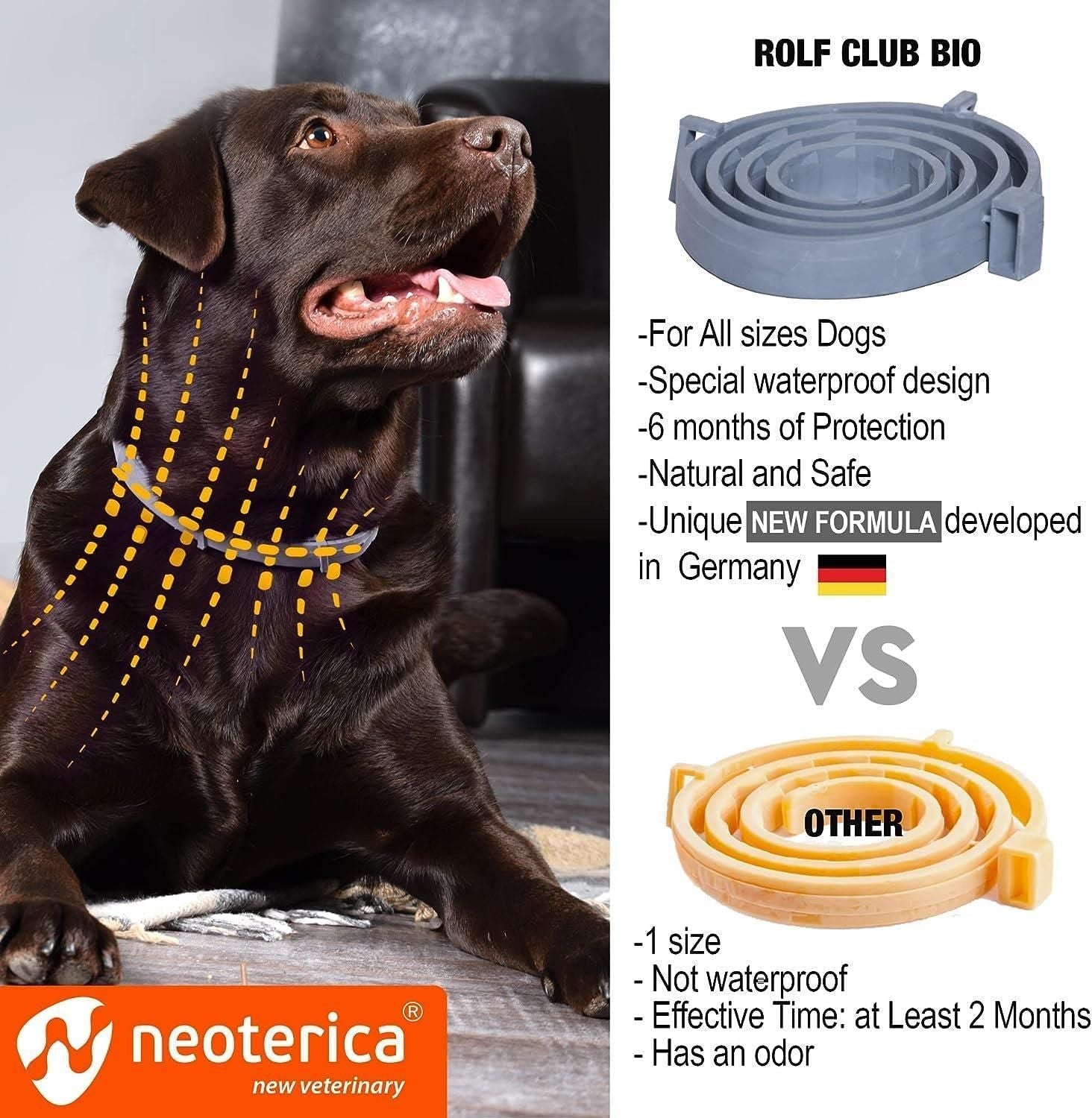 Natural Flea Tick Collar for Dogs 6 Months Control of Best Prevention Safe Treatment Anti Fleas and Ticks Essential Oil Repellent 1 Pack 2 Count - Dog Time Outlet