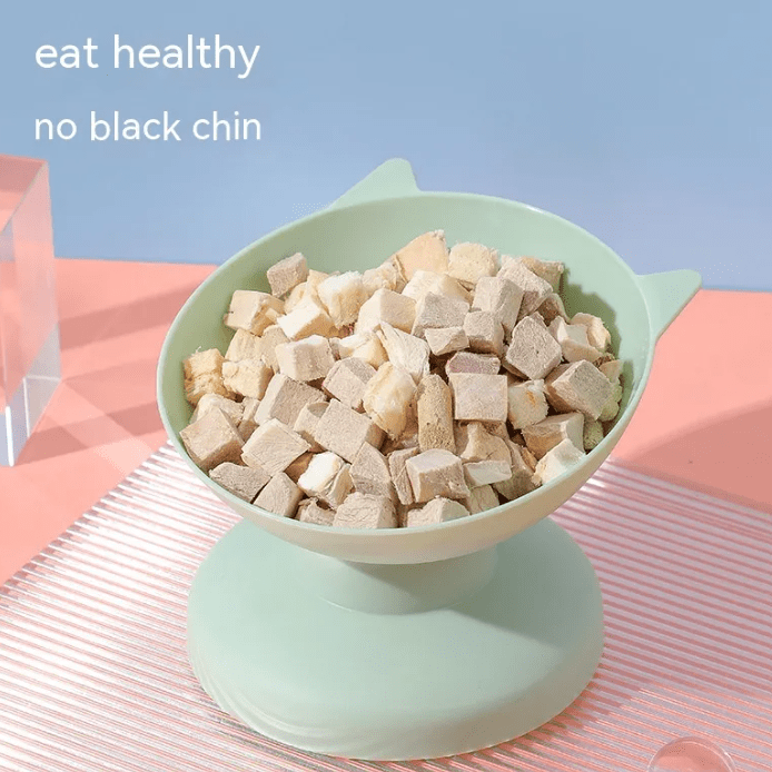Pet Bowl - Dog Time Outlet