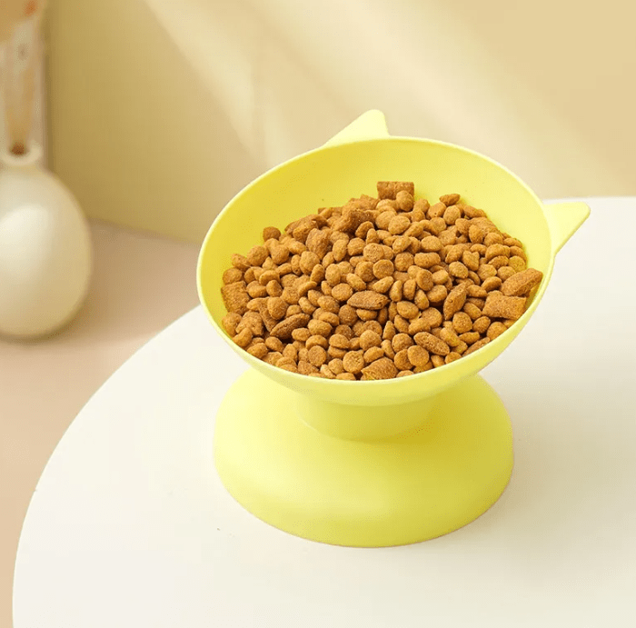 Pet Bowl - Dog Time Outlet
