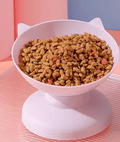 Pet Bowl - Dog Time Outlet