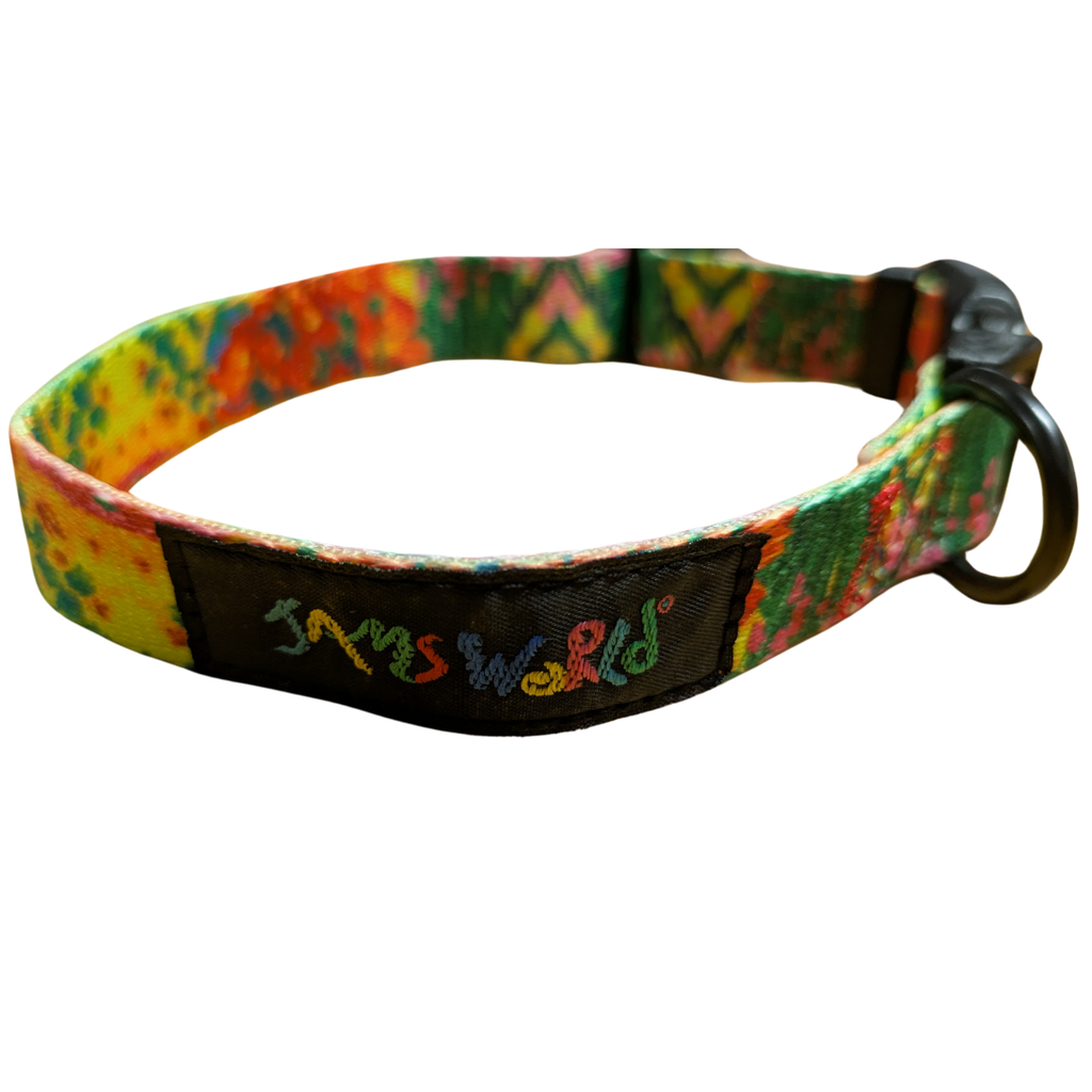 Pet Collar - Bouquet Burst - Dog Time Outlet