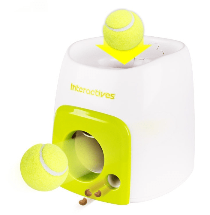 Pet Dog Baseball Food Reward Machine - Dog Time Outlet