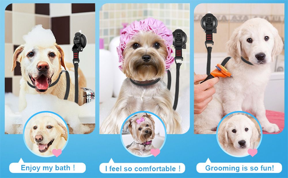 Pet Dog Dog Grooming Table Lanyard Cats And Dogs Bathing Fixer Pet Haircut Trim Blow Dry Traction Rope - Dog Time Outlet
