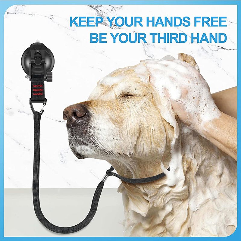 Pet Dog Dog Grooming Table Lanyard Cats And Dogs Bathing Fixer Pet Haircut Trim Blow Dry Traction Rope - Dog Time Outlet