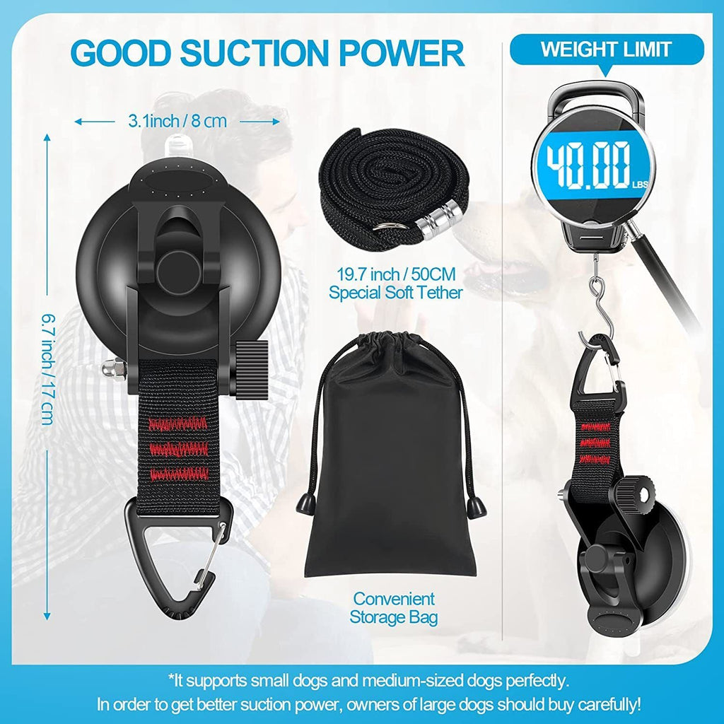 Pet Dog Dog Grooming Table Lanyard Cats And Dogs Bathing Fixer Pet Haircut Trim Blow Dry Traction Rope - Dog Time Outlet