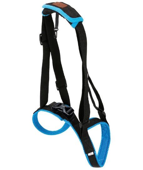 Pet Leg Support - Dog Time Outlet