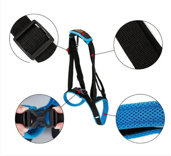 Pet Leg Support - Dog Time Outlet