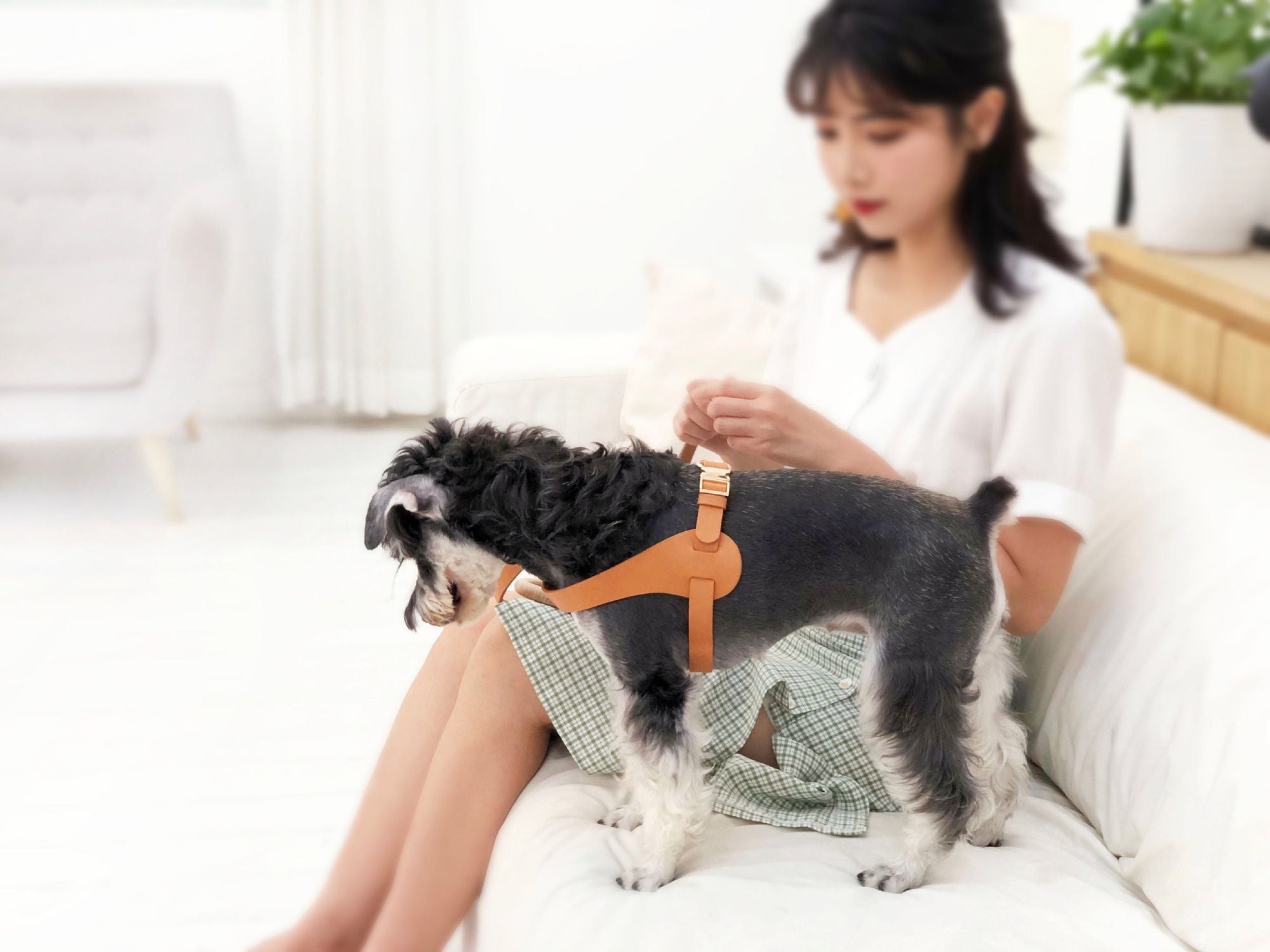 Pet Life 'Ever - Craft' Boutique Series Adjustable Designer Leather Dog Harness - Dog Time Outlet