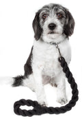 Pet Life Tough - Tugger Industrial - Strength Shock Absorption Woven Dog Leash - Dog Time Outlet