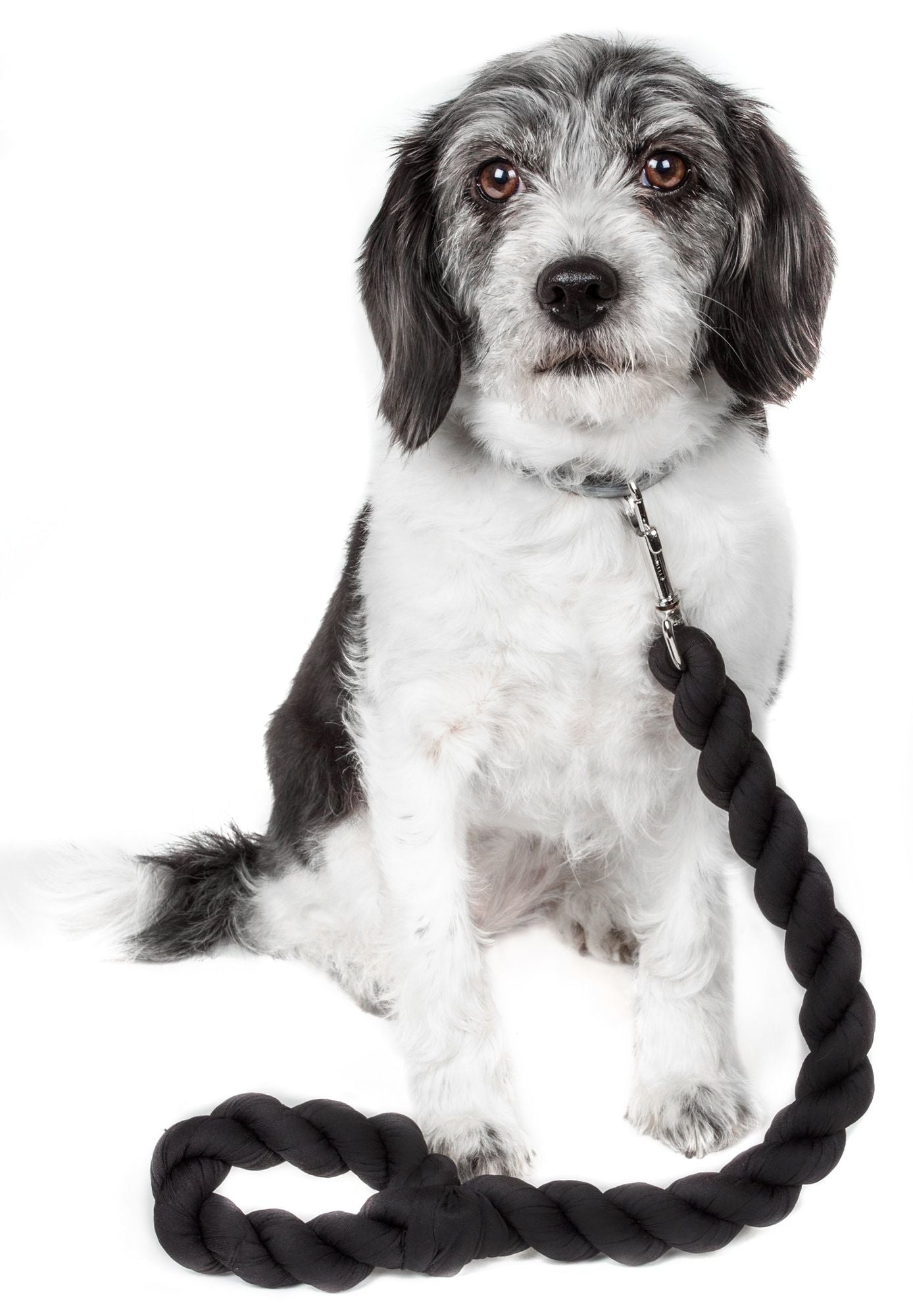 Pet Life Tough - Tugger Industrial - Strength Shock Absorption Woven Dog Leash - Dog Time Outlet