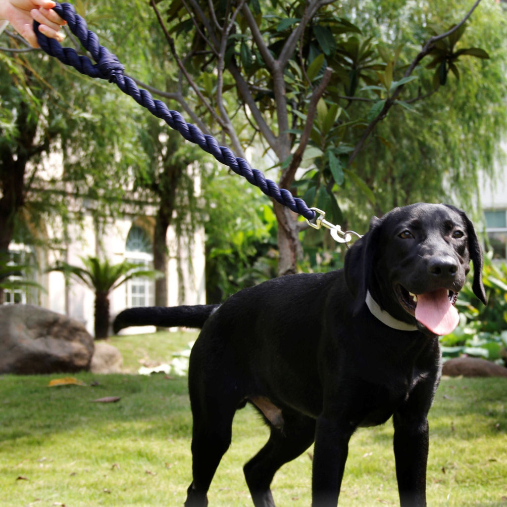 Pet Life Tough - Tugger Industrial - Strength Shock Absorption Woven Dog Leash - Dog Time Outlet