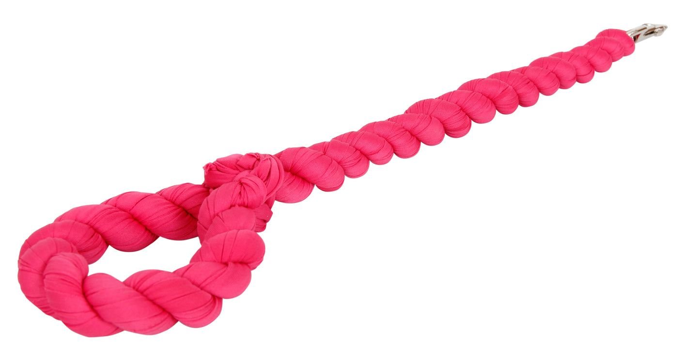 Pet Life Tough - Tugger Industrial - Strength Shock Absorption Woven Dog Leash - Dog Time Outlet