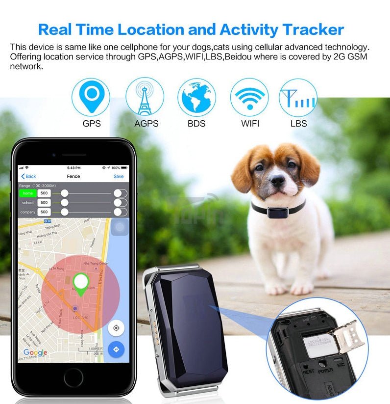 Pet Tracking Locator - Dog Time Outlet