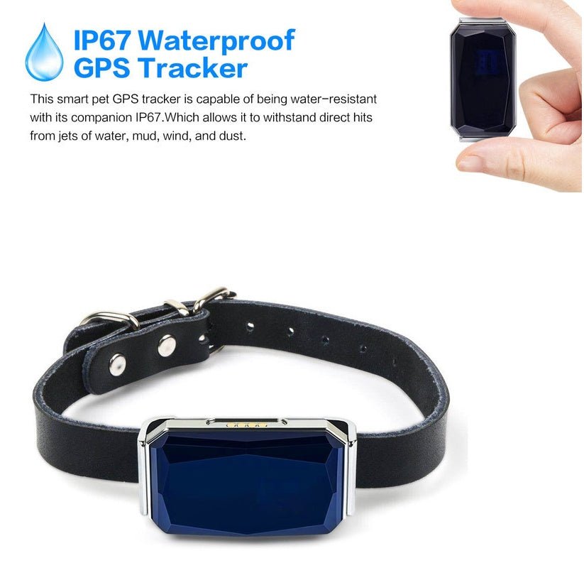 Pet Tracking Locator - Dog Time Outlet