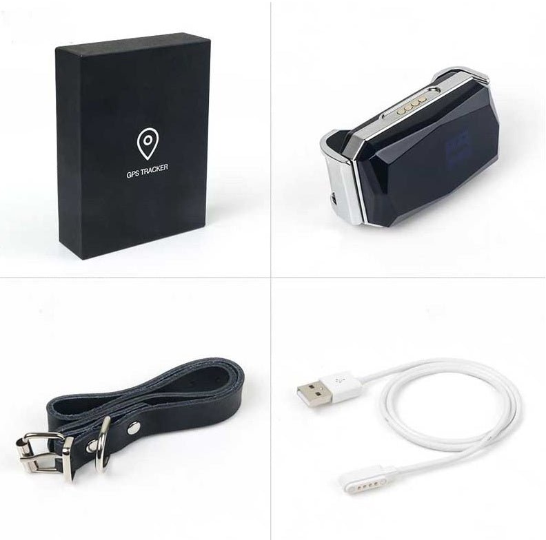 Pet Tracking Locator - Dog Time Outlet