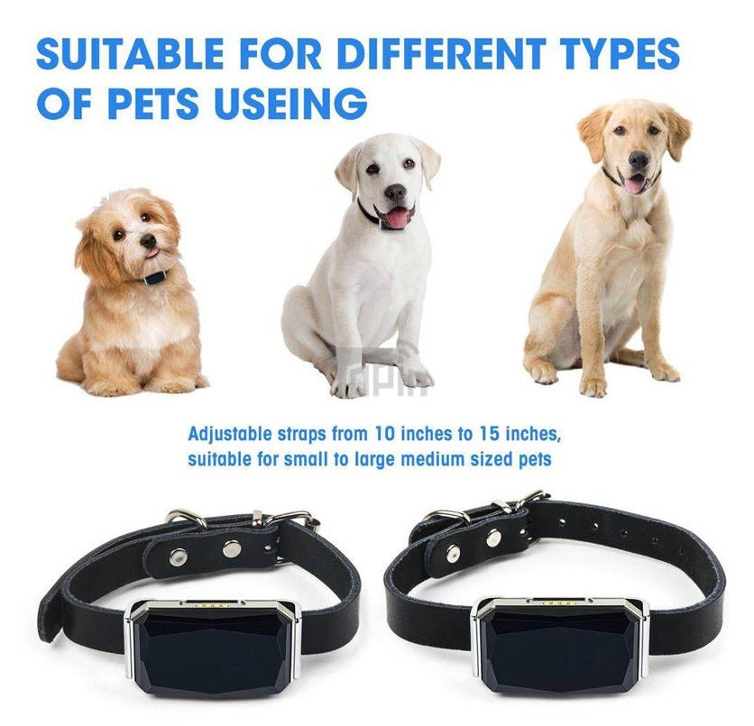Pet Tracking Locator - Dog Time Outlet