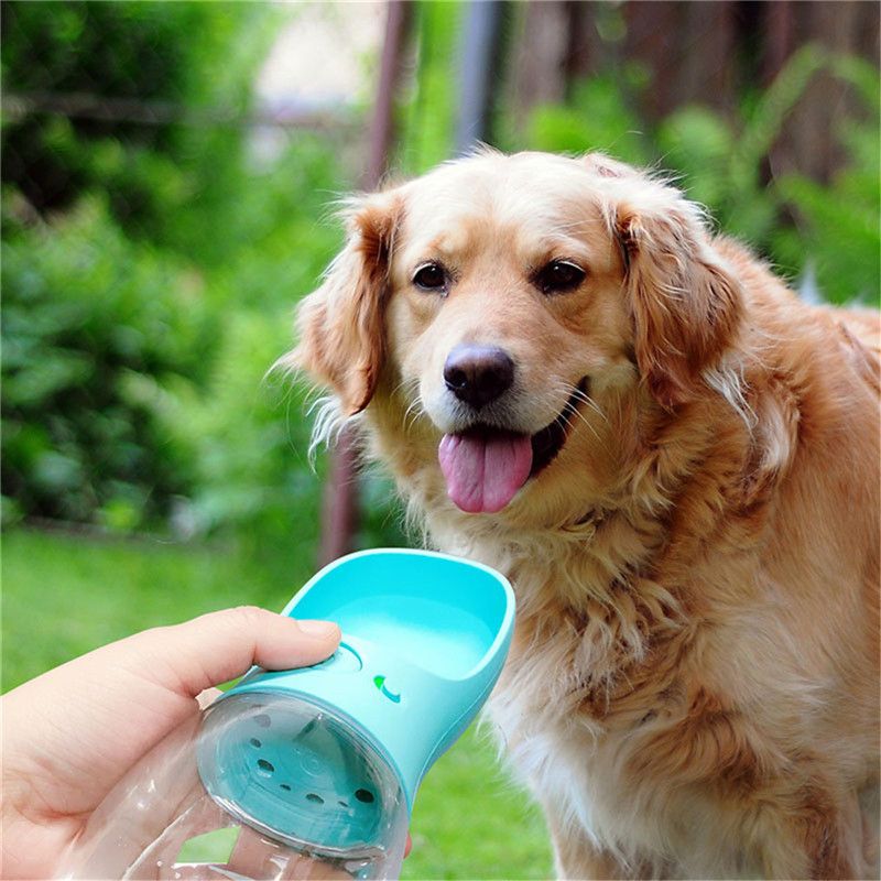 Pet Water Cup Outdoor Portable Water Bottle - Dog Time Outlet