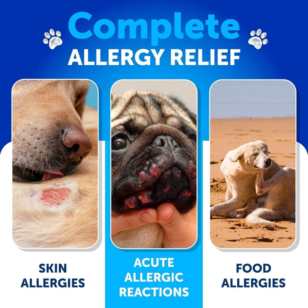Probiotics for Dogs Support Gut Health Itchy Skin Allergies Immunity Yeast Balance Dog Probiotics and Digestive Enzymes with Prebiotics Reduce Diarrhea Gas 180 Probiotic Chews for Dogs - Dog Time Outlet