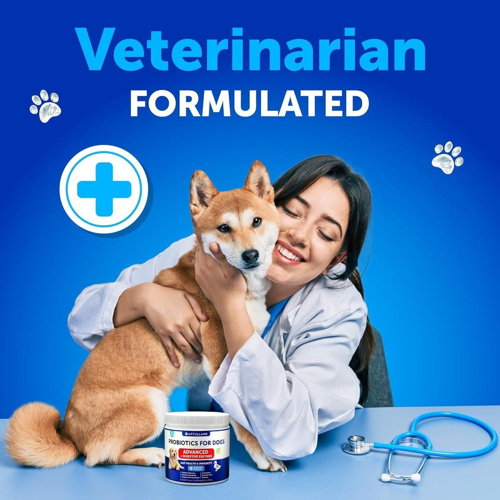 Probiotics for Dogs Support Gut Health Itchy Skin Allergies Immunity Yeast Balance Dog Probiotics and Digestive Enzymes with Prebiotics Reduce Diarrhea Gas 180 Probiotic Chews for Dogs - Dog Time Outlet