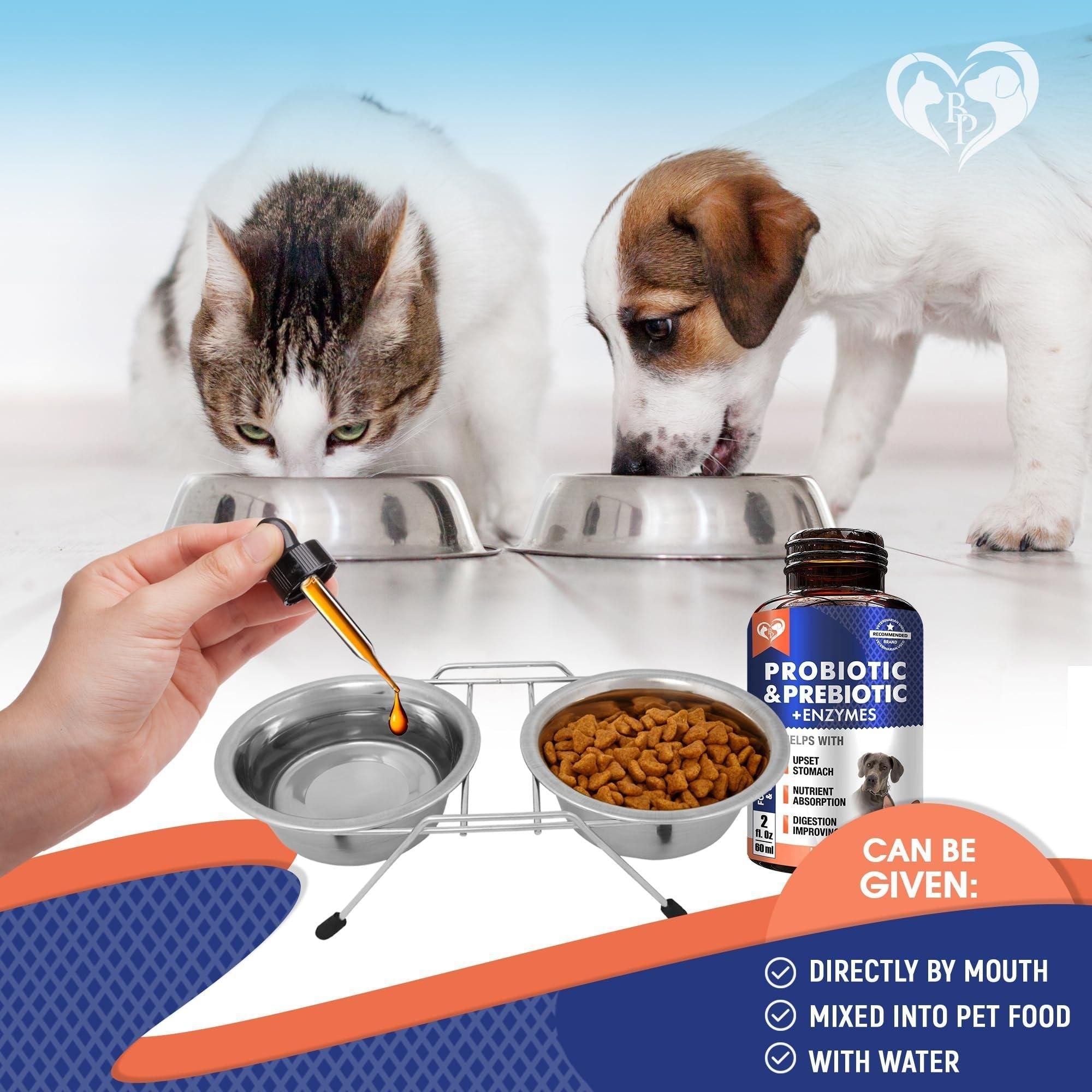 Probiotics Prebiotics with Enzymes for Dogs and Cats Digestive Gut Flora Health Pet Food Supplements - Dog Time Outlet