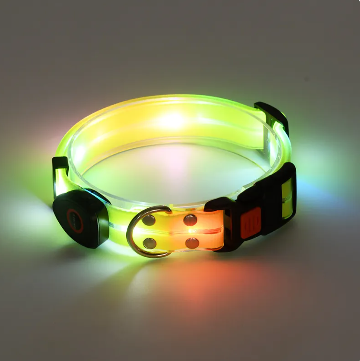 Rechargeable LED Pet Collar with Nylon Leash - Dog Time Outlet