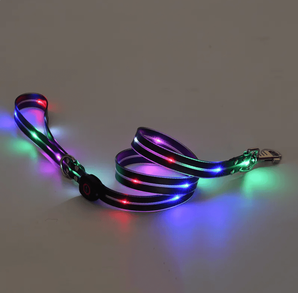 Rechargeable LED Pet Collar with Nylon Leash - Dog Time Outlet