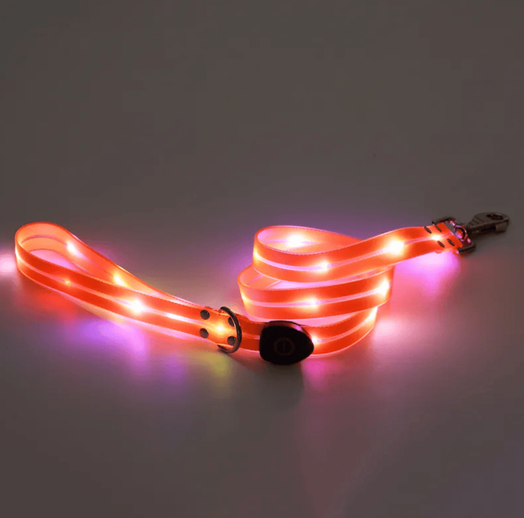 Rechargeable LED Pet Collar with Nylon Leash - Dog Time Outlet