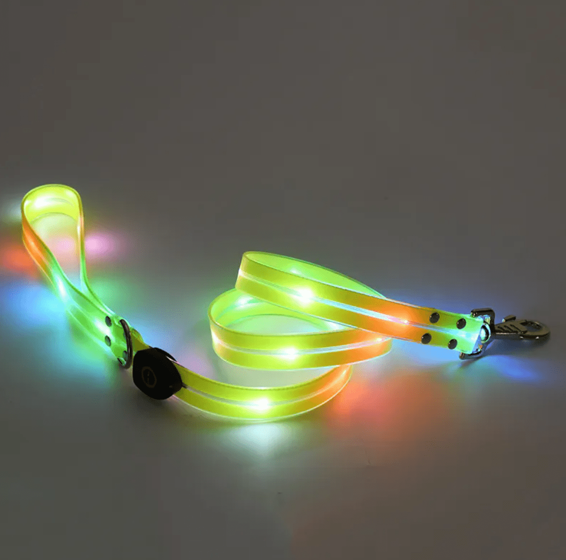 Rechargeable LED Pet Collar with Nylon Leash - Dog Time Outlet