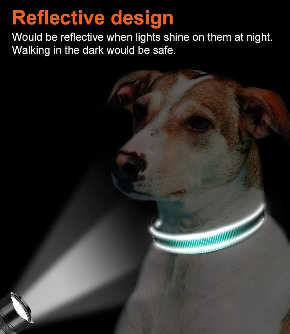 Reflective Dog Collar; Soft Neoprene Padded Breathable Nylon Pet Collar Adjustable for Medium Dogs - Dog Time Outlet