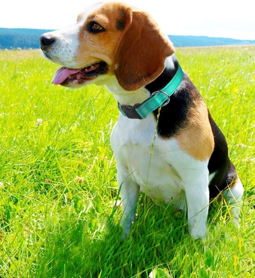 Reflective Dog Collar; Soft Neoprene Padded Breathable Nylon Pet Collar Adjustable for Medium Dogs - Dog Time Outlet