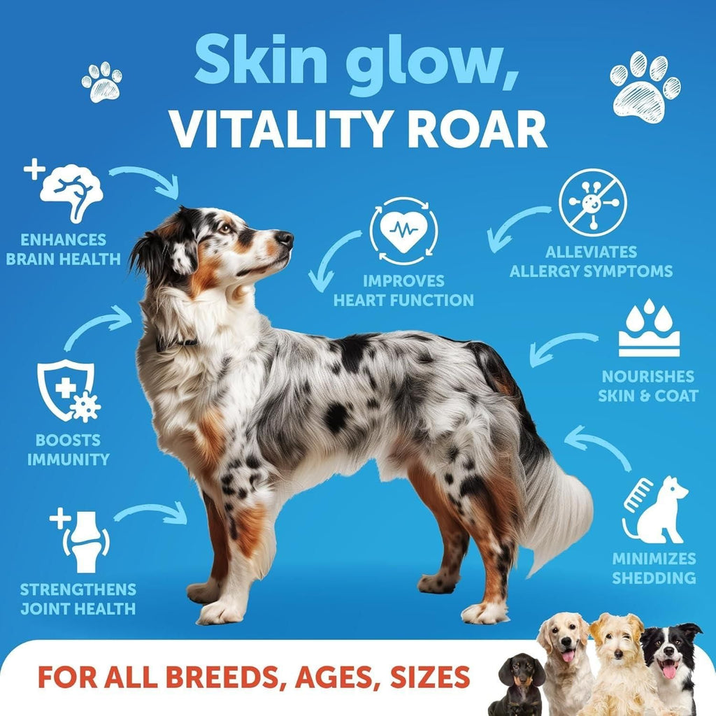 Salmon Oil for Dogs Omega 3 for Dogs 8 FL OZ Wild Alaskan Salmon Fish Oil Natural EPA & DHA Fatty Acids for Skin & Coat Allergy Joint & Bone Health Liquid Support Supplement for Shedding - Dog Time Outlet
