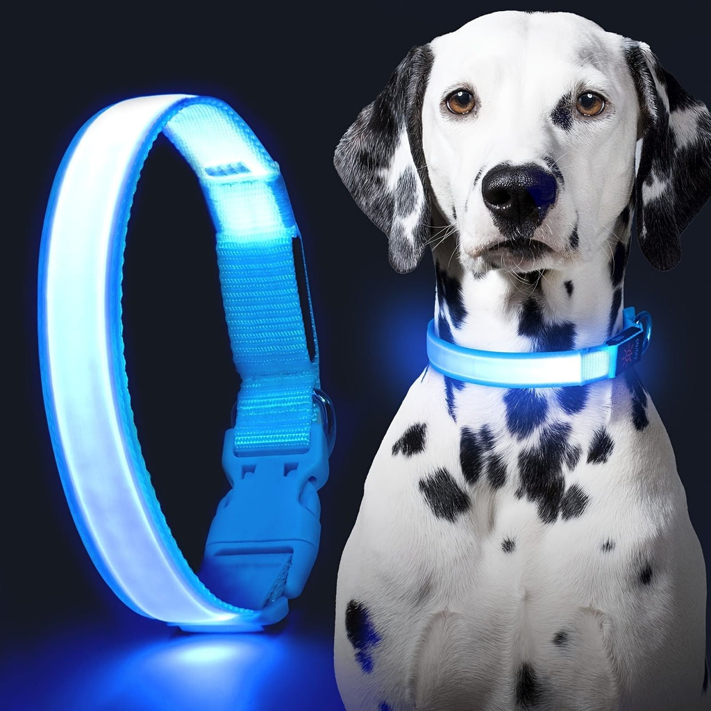 Solar And USB Rechargeable Light Up Pet Collar Waterproof LED Dog & Cat Collars For Night Walking - Dog Time Outlet