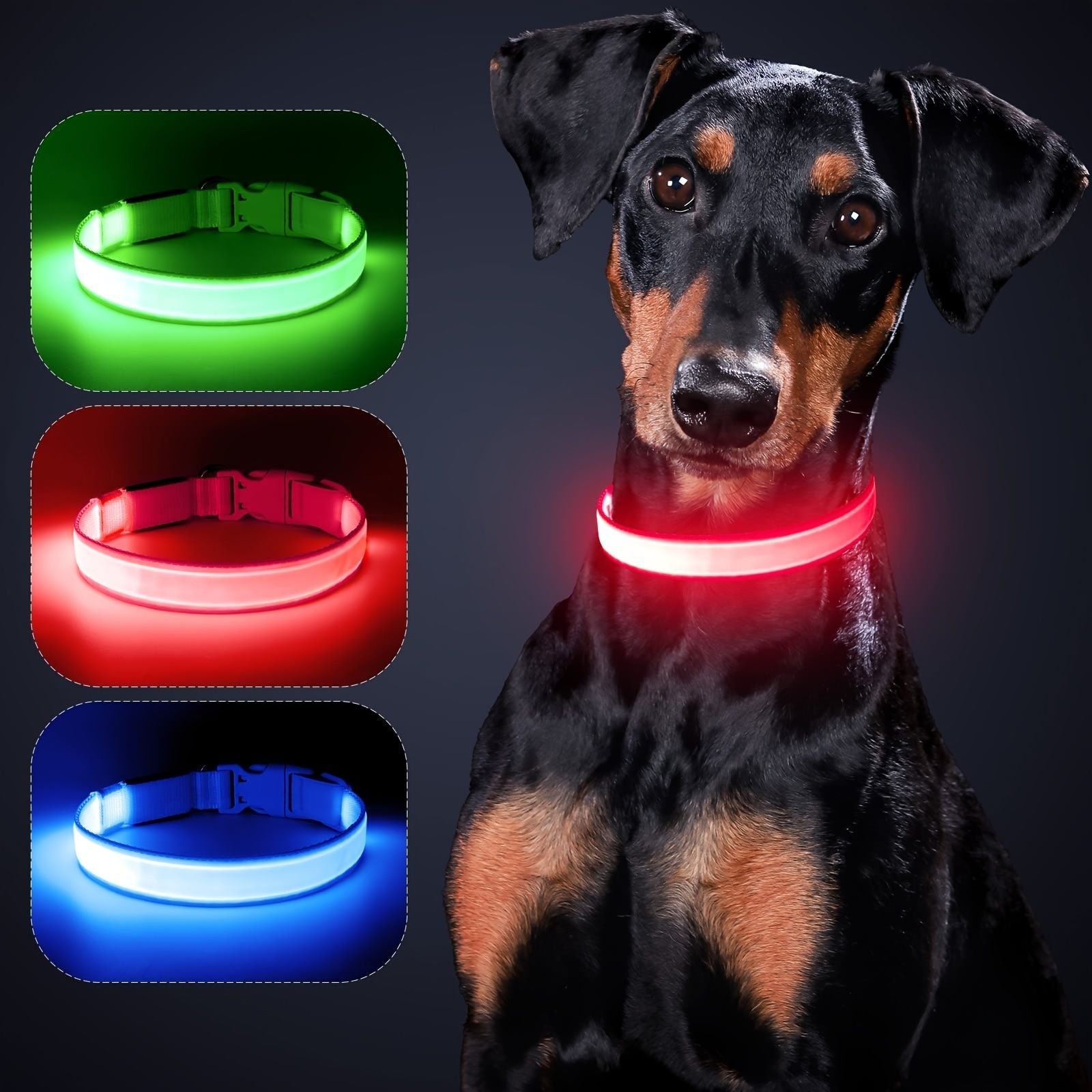 Solar And USB Rechargeable Light Up Pet Collar Waterproof LED Dog & Cat Collars For Night Walking - Dog Time Outlet