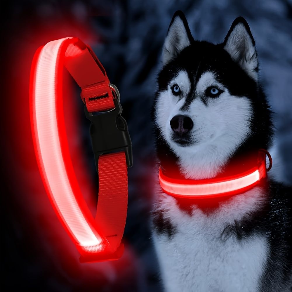 Solar And USB Rechargeable Light Up Pet Collar Waterproof LED Dog & Cat Collars For Night Walking - Dog Time Outlet
