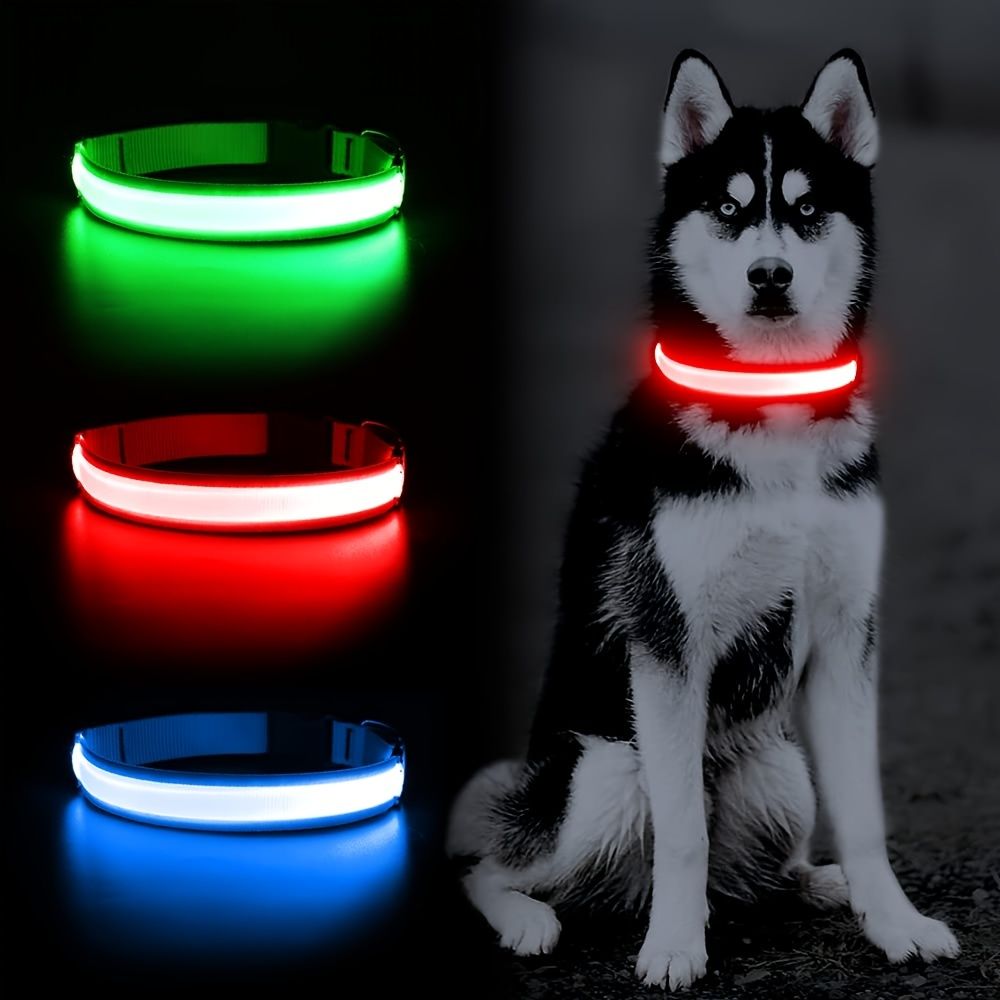 Solar And USB Rechargeable Light Up Pet Collar Waterproof LED Dog & Cat Collars For Night Walking - Dog Time Outlet