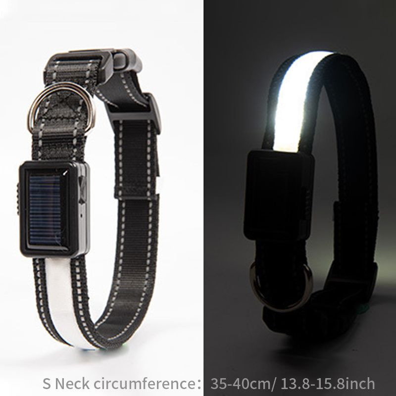 Solar And USB Rechargeable Light Up Pet Collar Waterproof LED Dog & Cat Collars For Night Walking - Dog Time Outlet