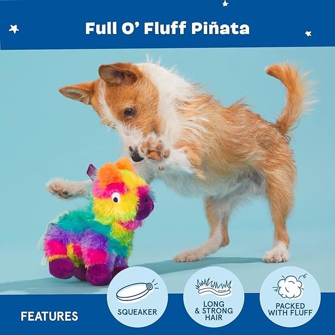 Squeaky Dog Toys Plush Squeak Chew Toys | Puppy Pet Toys - Dog Time Outlet