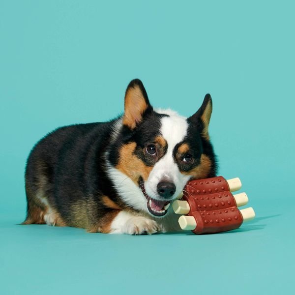 Super Chewer Wreck of Ribs Dog Toy - Dog Time Outlet
